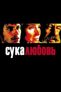 Сука-любовь 2000